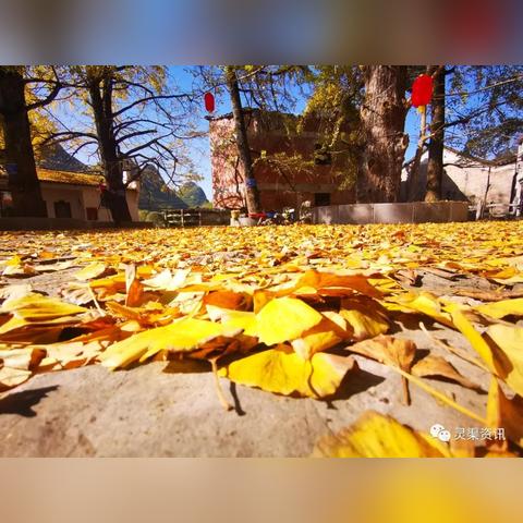 桂林金色大道三期相关长尾关键词有哪些