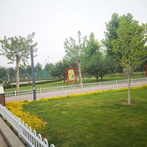 石家庄市体育局长什么样