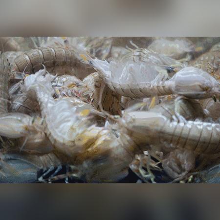 皮皮虾外卖杭州的相关长尾关键词有哪些