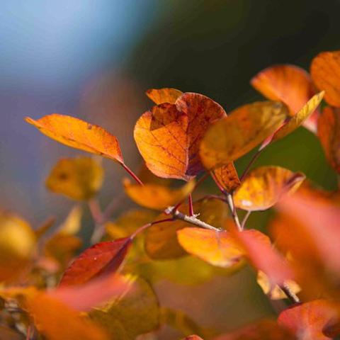 石家庄市周边哪里值得看