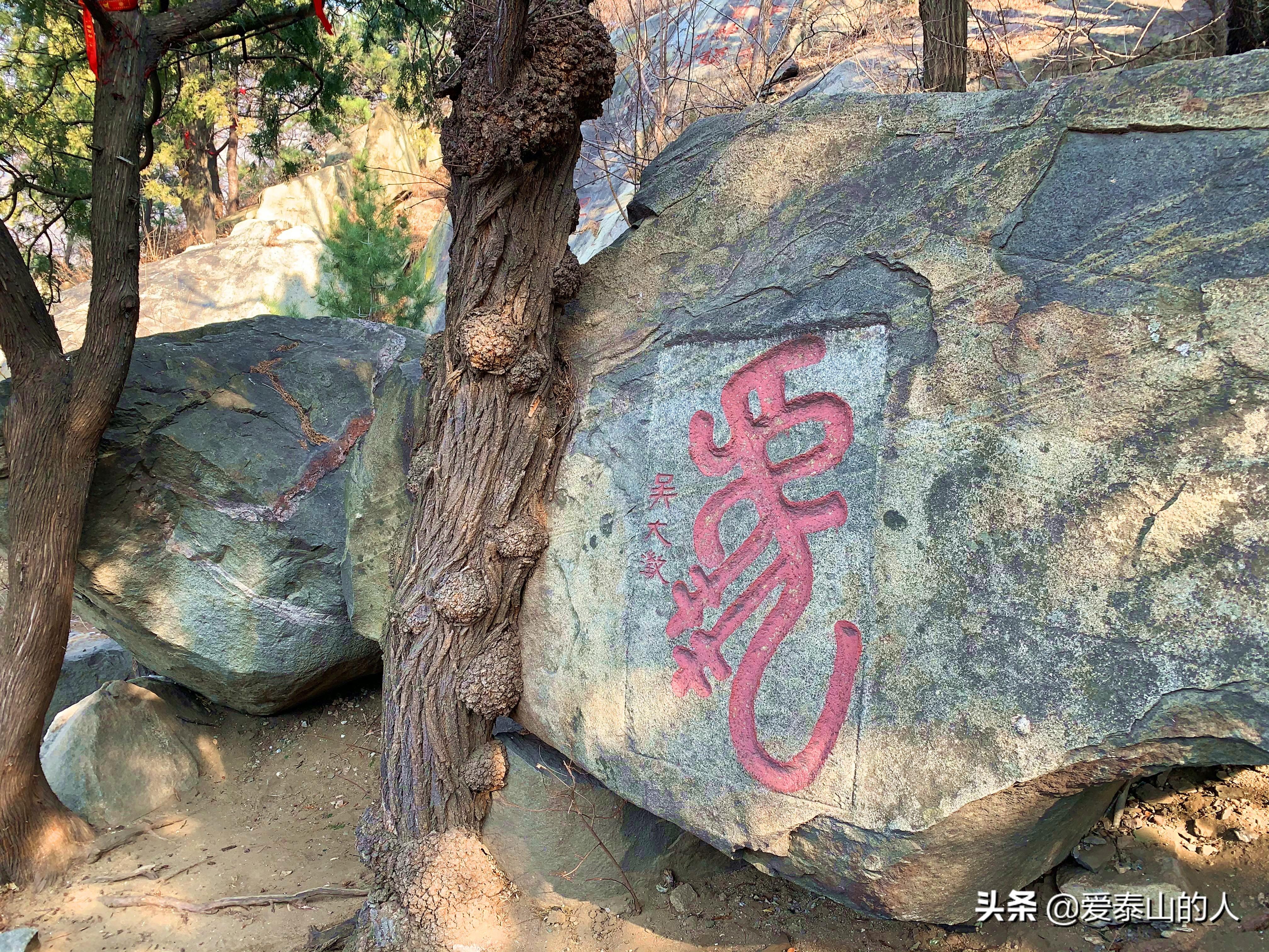 虎宝宝瞻字怎么样起名（为何朱元璋起的名能联成周期表）