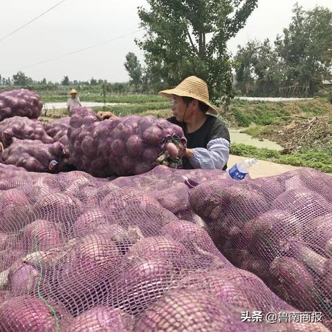 临沂市河西学校怎么样
