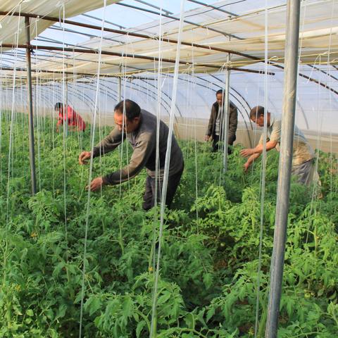 河南方城哪个广播有信号