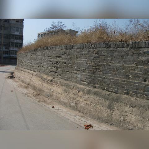 保定市哪里可以买菜