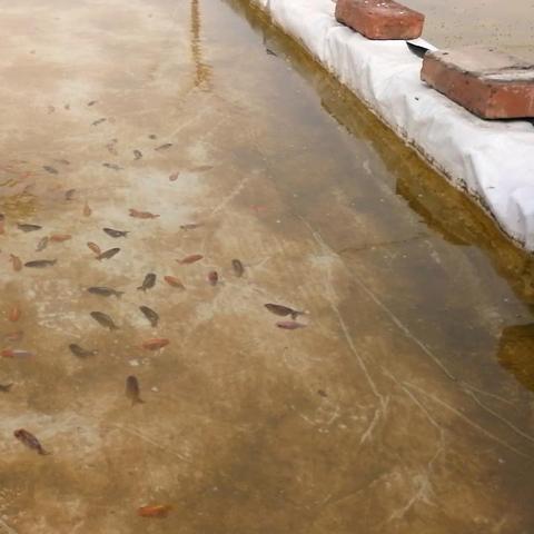 邯郸市占地多少平方