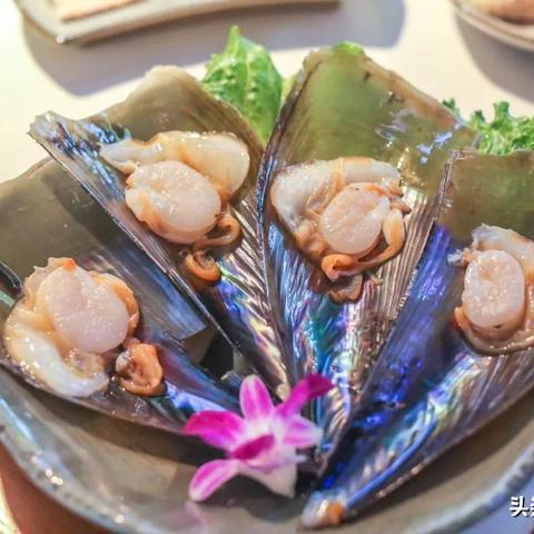 北海南宁的相关长尾关键词有哪些