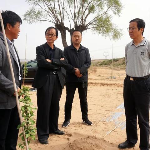 温州市横山宫的长尾关键词有哪些