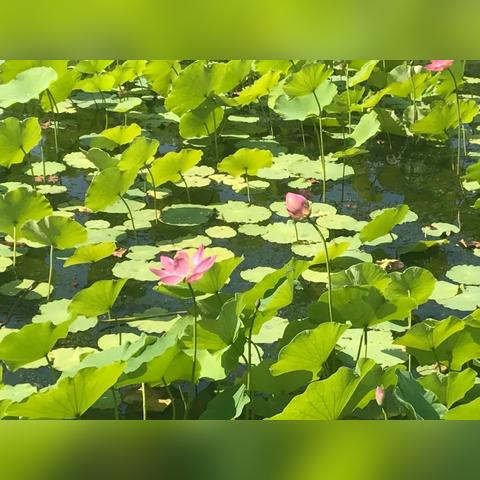 在桂林市能去哪里玩儿呢