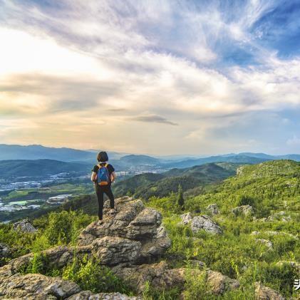 保定市哪里卖麻将