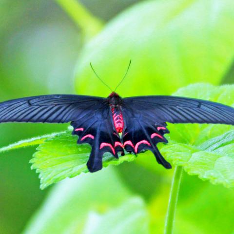 河南新农村电影的相关长尾关键词有哪些