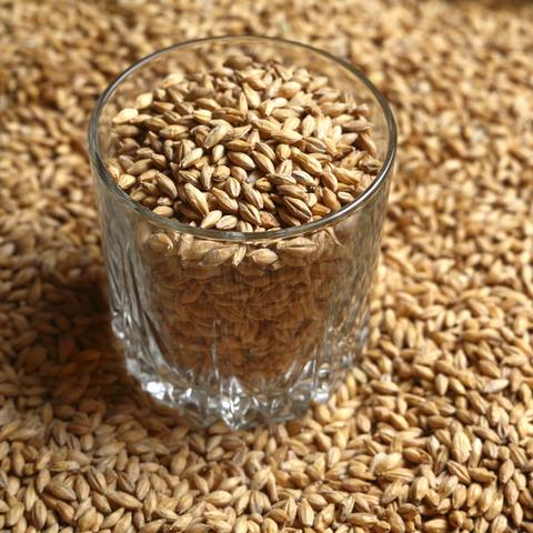 福建泉州市麦芽糖的长尾关键词有什么