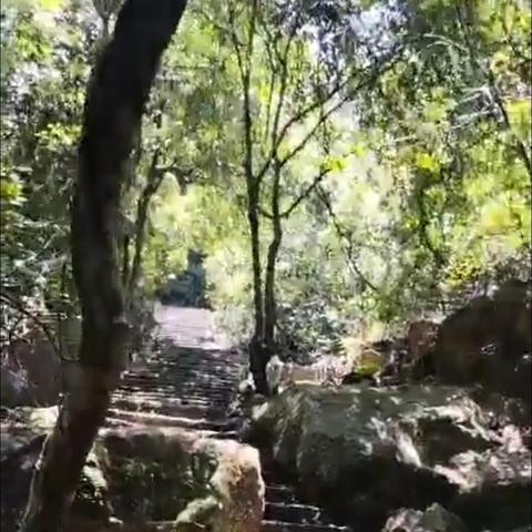 东莞市有名公园有哪些