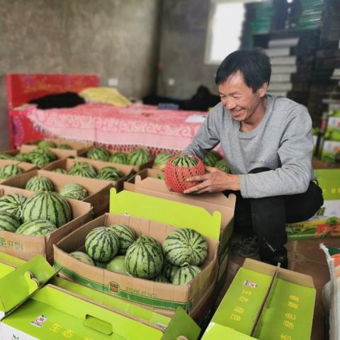 临沂市湖滨镇新闻的长尾关键词有哪些