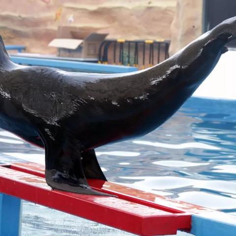 南通市野生动物园在哪里