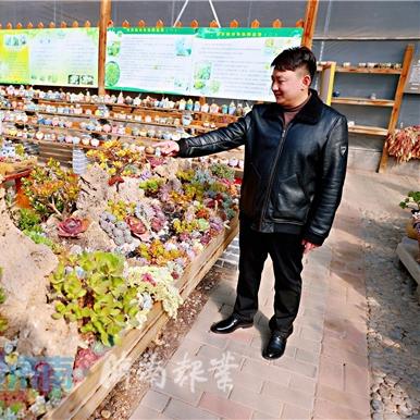 济南仁里大棚相关长尾关键词有哪些