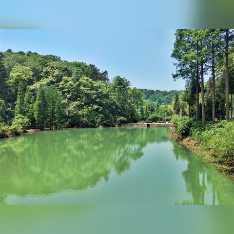 长沙适合自驾游吗去相关长尾关键词有哪些