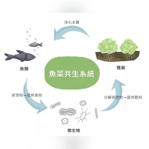【天津思维导图】相关长尾关键词有哪些