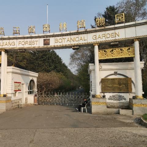 哈尔滨五一限行吗相关长尾关键词有哪些