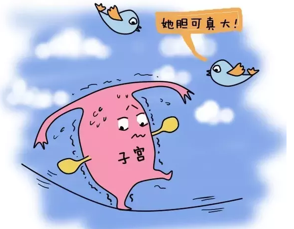 前七后八是安全期还是危险期