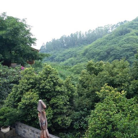 成都市内一日游哪里好