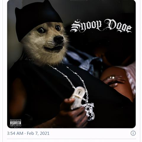 DOGE上任第一剑：联合领导人退出 马斯克独掌大权