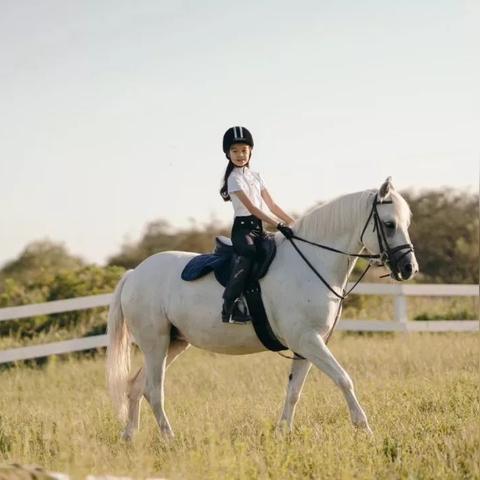 无锡市的美女集中在哪里