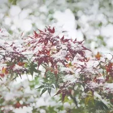 杭州市北方是什么区域