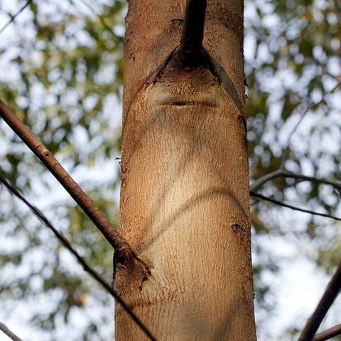福建过去叫什么