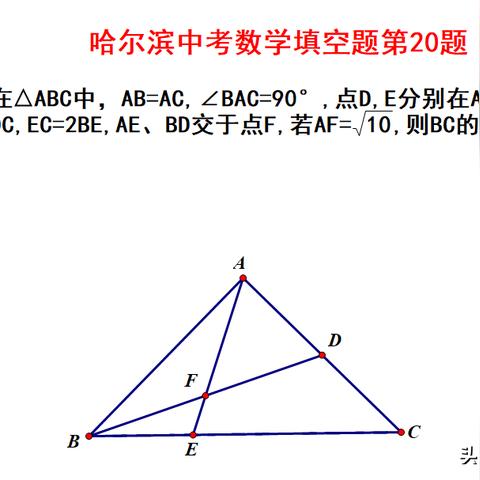 哈尔滨中考科目相关长尾关键词有哪些