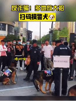 app拉新推广名录(女性种草社区app是什么意思)