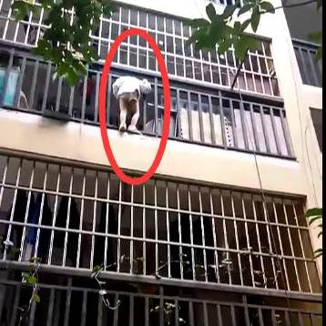 南宁市秋月路属于哪个区