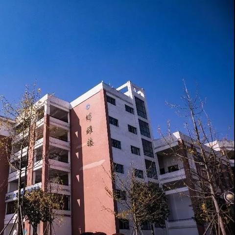 桂林理工大学 大专相关长尾关键词有哪些