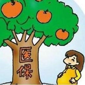 沈阳市五险怎么交费