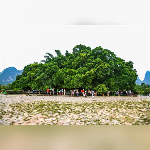 桂林市哪里好玩不要门票