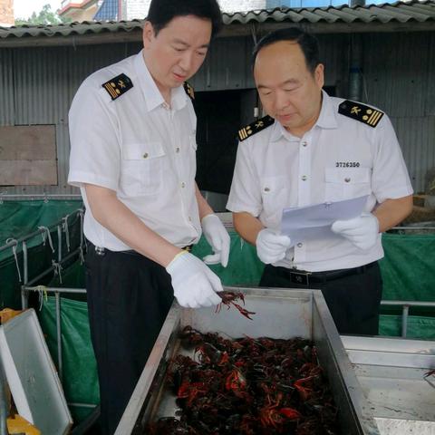 漳州古城到厦门有多远？