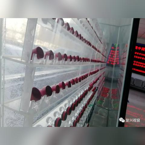 邯郸市哪里需要保姆工资