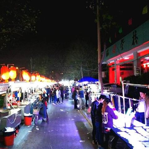 石家庄市哪里有小松鼠买