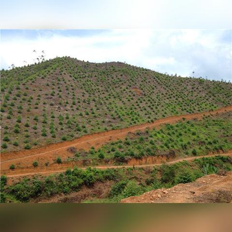 广西早就建好的农民房怎么拿房产证？