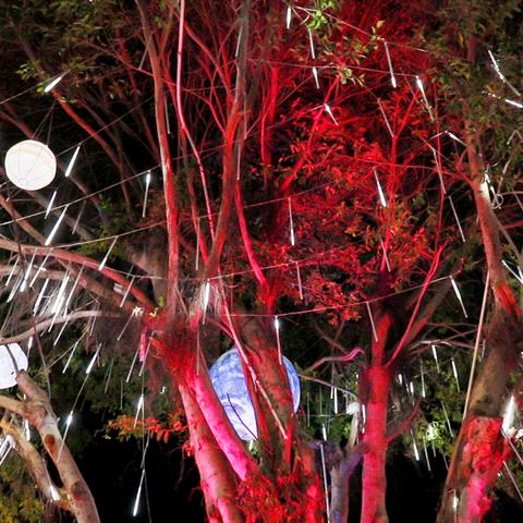 泉州市哪里可以学烧烤