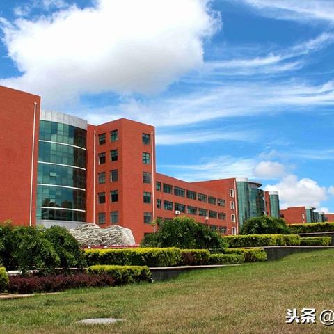 哈尔滨市什么之最
