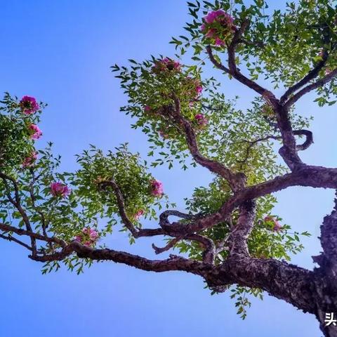 河南洛阳至陕西兰州的相关长尾关键词有哪些
