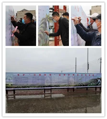 日照茶乡书记直播“代言”日照绿茶！数万网友在线“品茶”