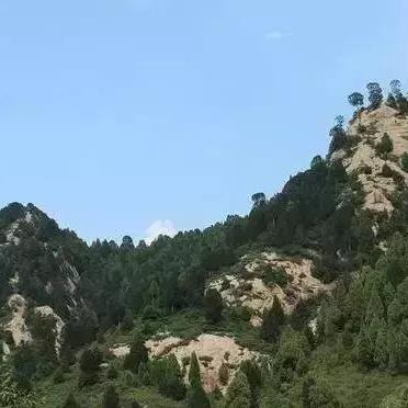 木偶图片大全伤感图片的长尾关键词是什么