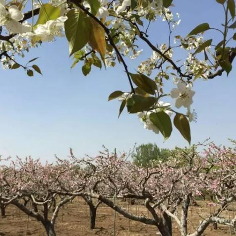 保定市野炊圣地在哪里