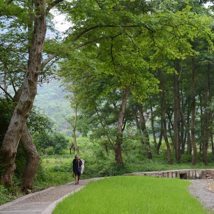 广西桂林农村农人收入相关长尾关键词有哪些