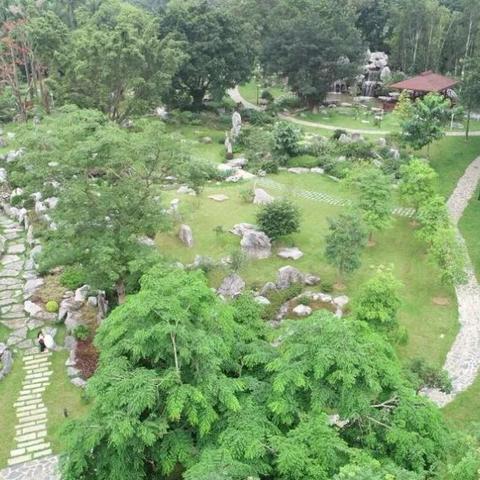 东莞市植物园有哪些花