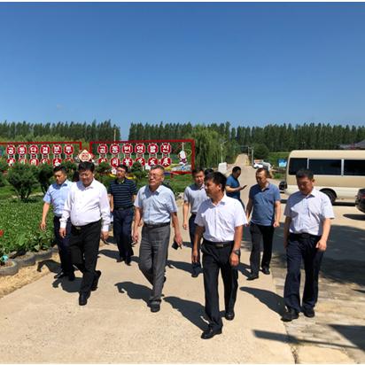 天津与杭州城建哪个美观