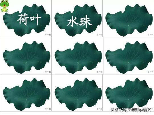 部编语文一年级下册课文13、荷叶圆圆（朗读+知识点+图解）