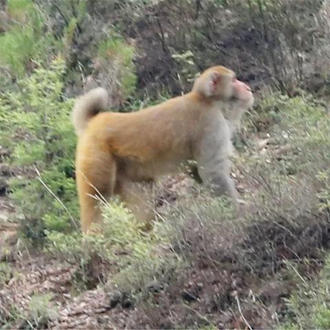 邯郸市医保缴费查询的长尾关键词有哪些