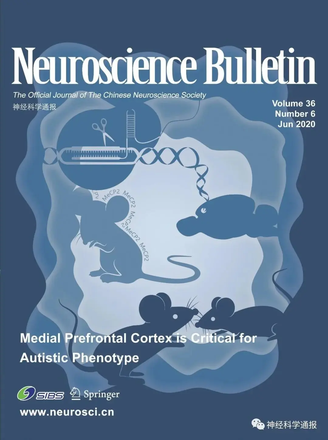 tiktok珍珠种类 tiktok包包种类